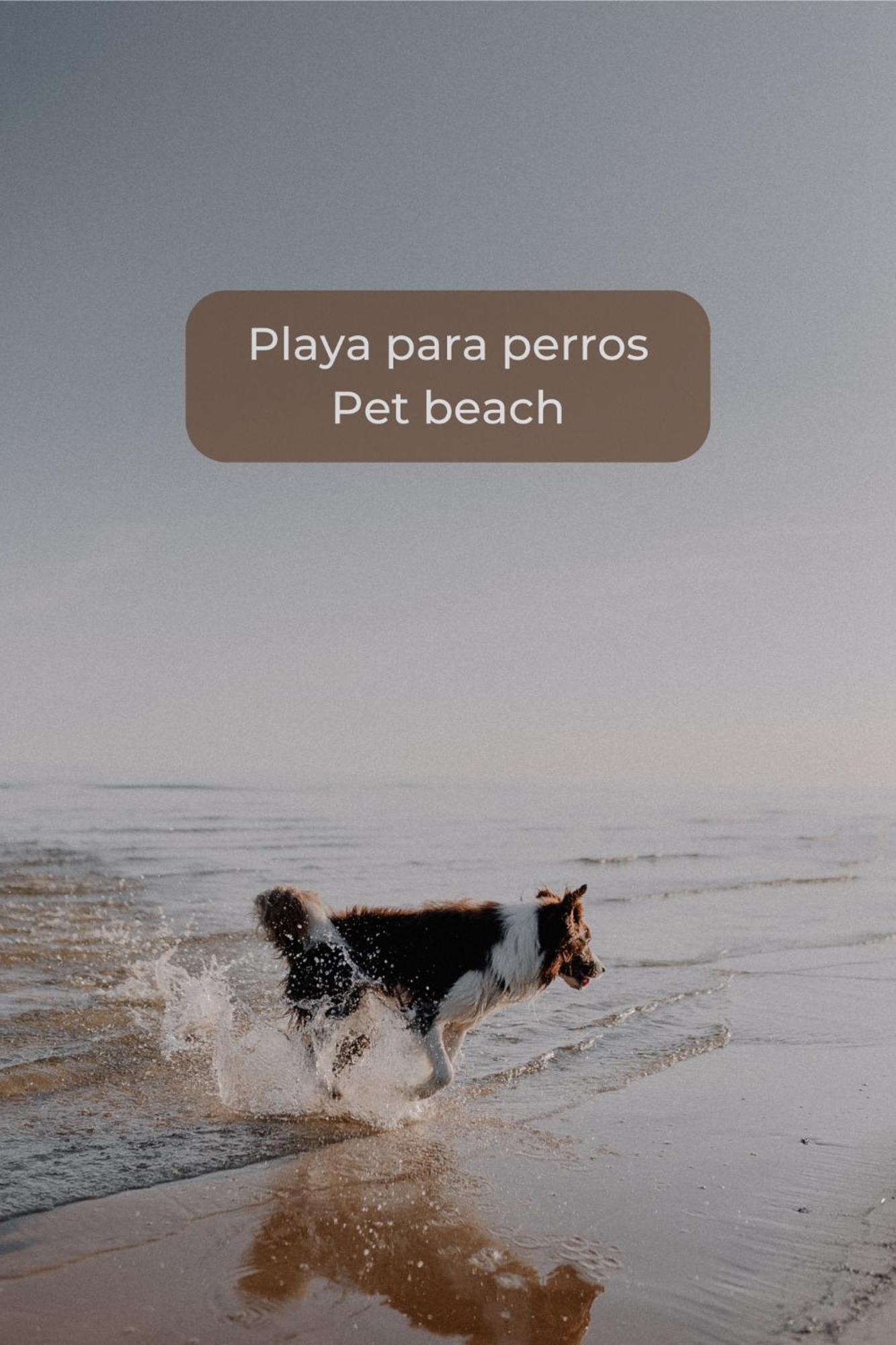 Canelita Con Piscina, Soleada Terraza Amplia Wifi Y Parking Corralejo Esterno foto